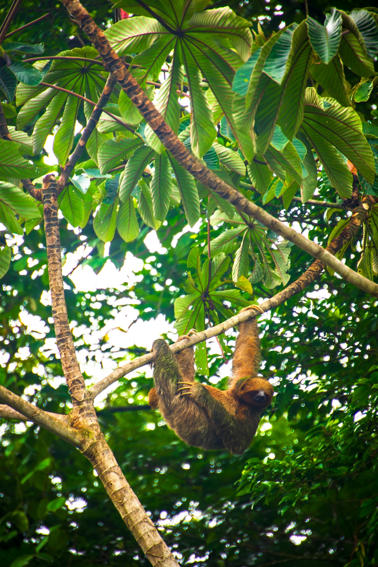 Relaxing Without Guilt: A Professional’s Approach